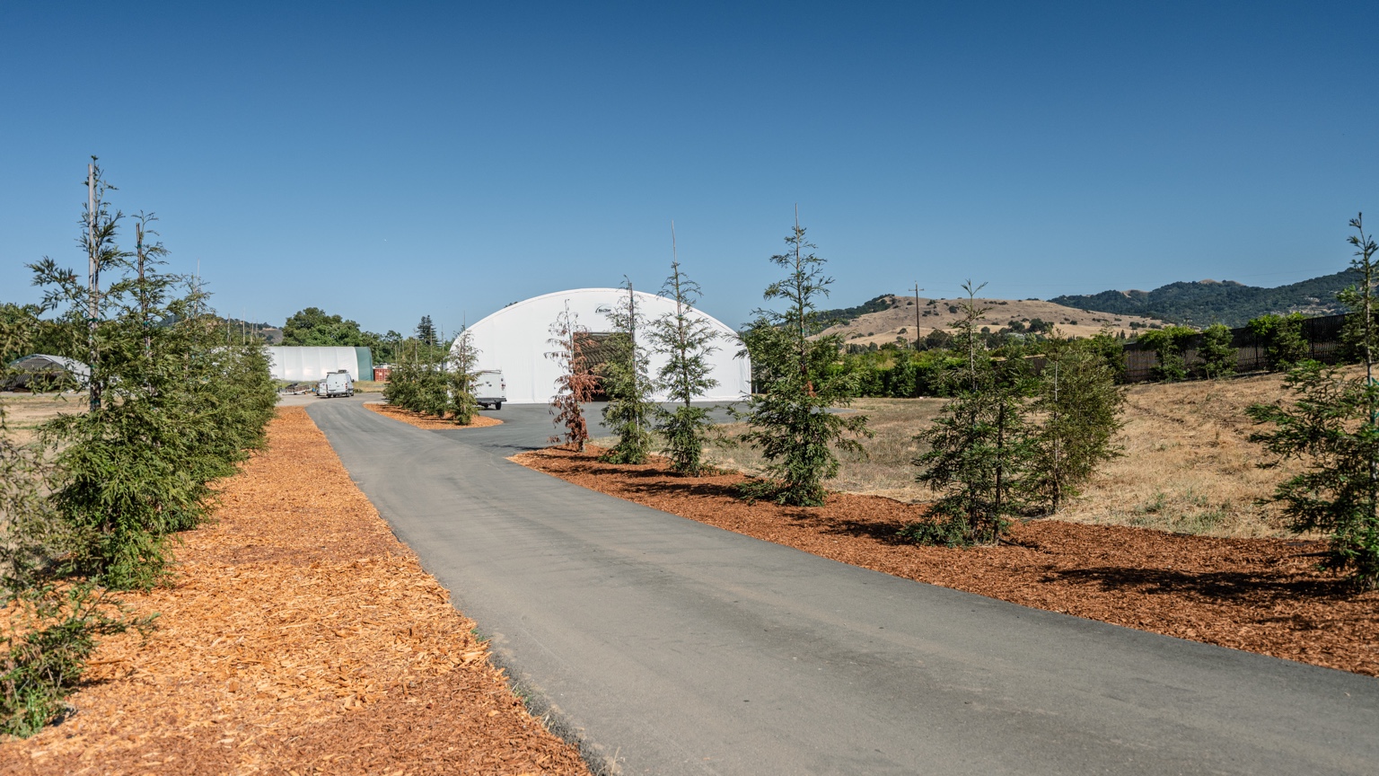 Driveway and tent approach from another angle